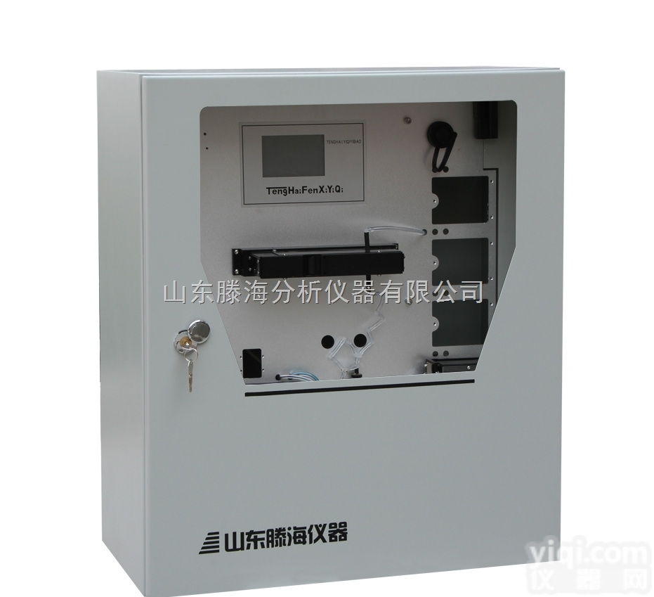 <em>水质在线总磷分析仪</em>