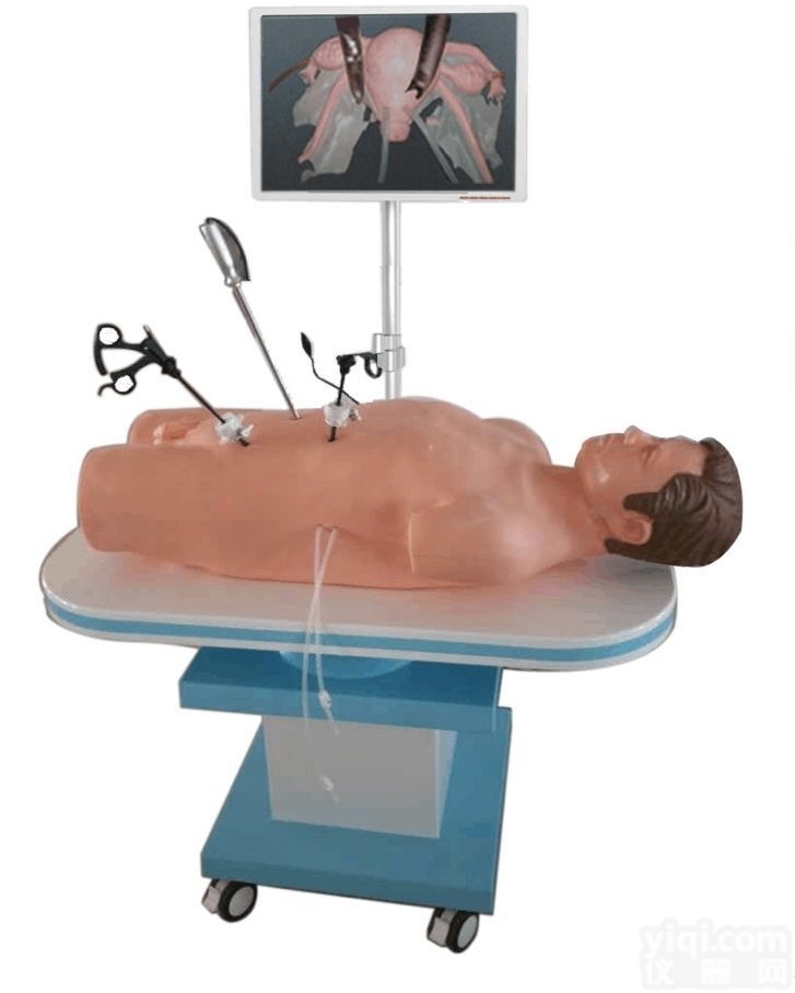 KAJ/FQJ600  高仿真<em>腹腔镜</em><em>手术</em>技能训练人体<em>模型</em>