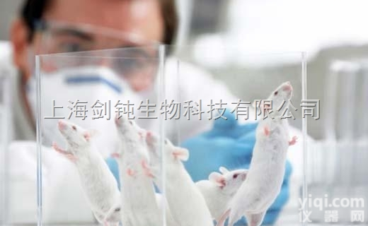 <em>内分泌系统</em>疾病实验外包