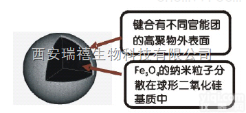 四氧化三铁磁性微球  <em>微米</em><em>纳米</em> 品Pai 图片
