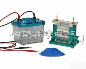 DYCZ-25D型  DYCZ-25D型垂直<em>电泳槽</em>北京六一<em>厂家</em>直销