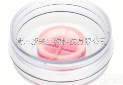 易必迪ibidi  <em>划痕</em>实验/伤口<em>愈合</em>4孔插件-80466 80469