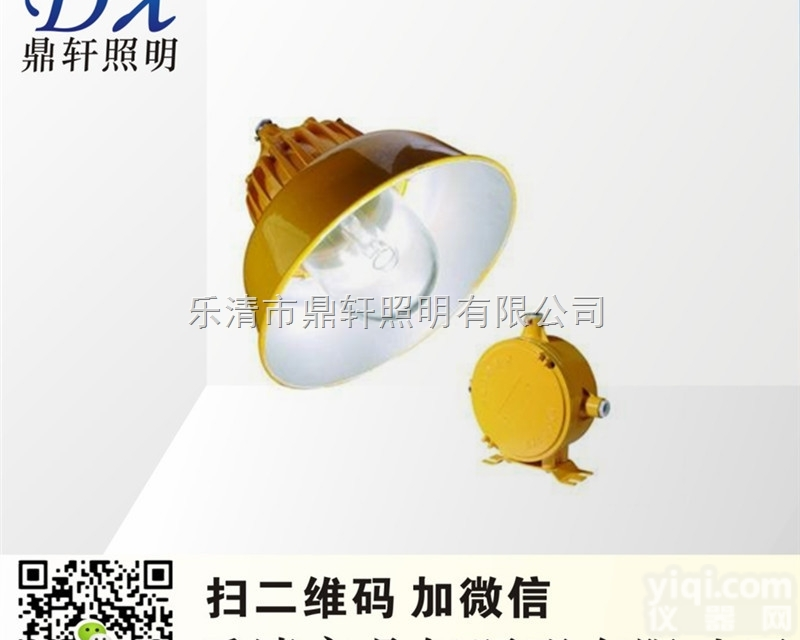 BLC8600  海洋王同款BLC8600防爆道<em>路灯</em> BLC8600-<em>250</em>/400W金...