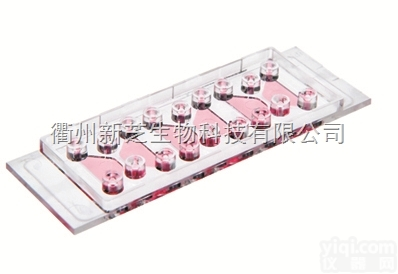 易必迪ibidi  µ-Slide <em>细胞</em><em>趋化</em><em>载玻片</em>－80326