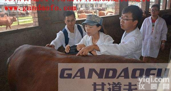 黄牛背膘<em>测定仪</em>，牛用背膘<em>眼肌</em><em>测定仪</em>B超价格