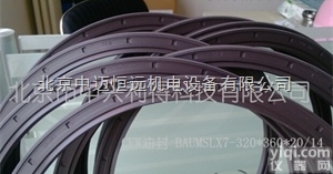 氟胶<em>骨架</em><em>油封</em>  <em>Simrit</em>/CFW BAUMSLX7型氟胶<em>骨架</em><em>油封</em>