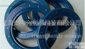 BAUSLX2金属<em>骨架</em><em>油封</em>  BAUSLX2金属<em>骨架</em><em>油封</em>