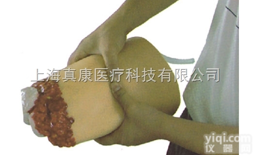 KAH/H3008  <em>下肢</em>外伤断肢<em>止血</em>模型KAH/H3008