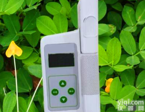 手持式<em>叶绿素</em>仪  便携式<em>叶绿素</em>测定仪直接检测<em>叶绿素</em>含量<em>检测仪</em>价格