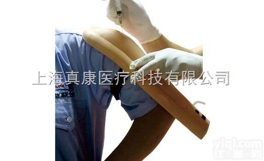KAH-S6  <em>高级电子上臂肌肉注射训练模型</em>KAH-S6