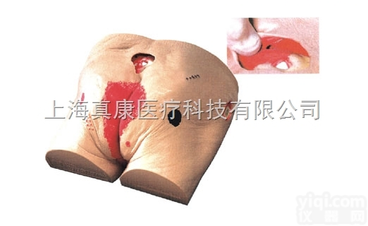 KAH-RC-2  高级<em>老年人</em><em>褥疮</em>（压疮）<em>护理模型</em>KAH-RC-2