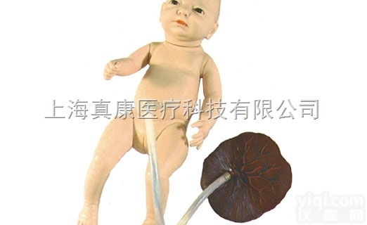KAH-H13  <em>高级新生儿脐带护理模型</em>KAH-H13