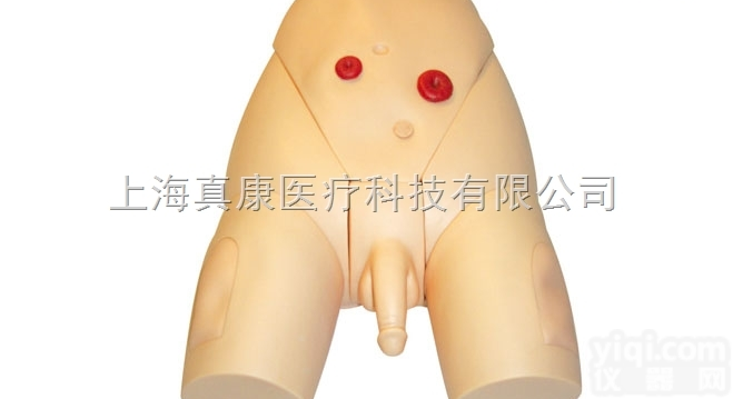 高级整体<em>男性</em><em>导尿</em><em>模型</em>  高级整体<em>男性</em><em>导尿</em><em>模型</em>