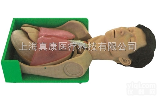 KAH-H375001  <em>透明洗胃、胃肠减压仿真标准化病人</em>