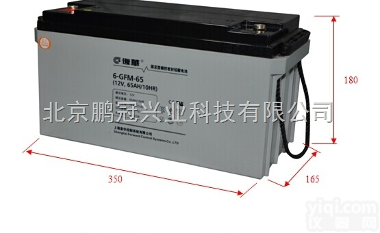 <em>复华</em>蓄电池6-GFM-40上海<em>复华</em>保护神<em>12V40AH</em>/10HR阀控式...