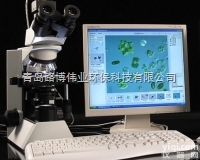 <em>污水厂</em><em>供水</em>厂水质藻类仪LB-S200型藻类智能鉴定计数仪