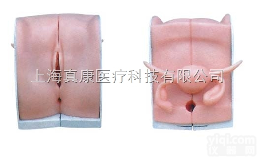 KAH/T33A  高级<em>人工流产</em>模拟<em>子宫</em>