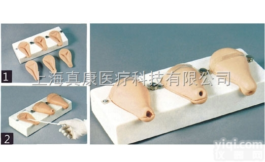 KAH-RF-1  高级乳房检查<em>模型</em>（一套三<em>部件</em>