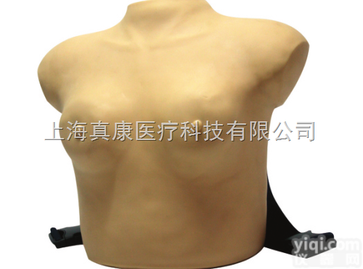 KAH/F7C  高级着装式<em>乳房</em><em>自检</em><em>模型</em>
