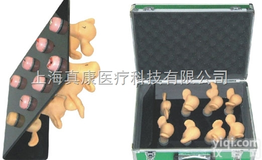 KAH-ZG  高级<em>子宫</em><em>宫颈</em><em>病变</em>模型（8件）