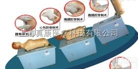 KAH-C-Ⅱ型  <em>全自动</em>多种<em>穿刺</em><em>叩诊</em>电脑模拟人