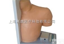 KAH-JG型  <em>肩关节</em>腔内注射<em>模型</em>