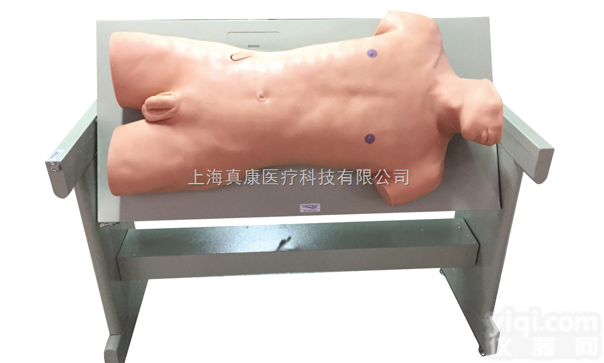 综合<em>穿刺术</em>与<em>叩诊</em>检查<em>技能</em>训练实验室