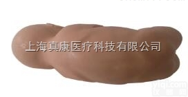 KAH-YCⅡ型  <em>婴儿</em><em>腰椎</em>穿刺训练<em>模型</em>