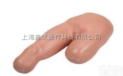 KAH-LV12型  高级低位<em>包扎</em><em>模型</em>