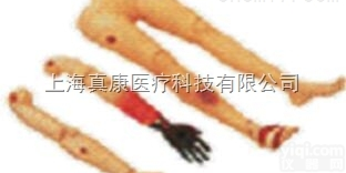 KAH-G11  高级<em>创伤</em><em>四肢</em><em>模型</em>