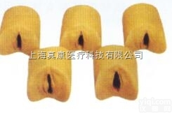 KAH-GYB  生产全程<em>宫颈</em>及<em>阴道</em>变化模型