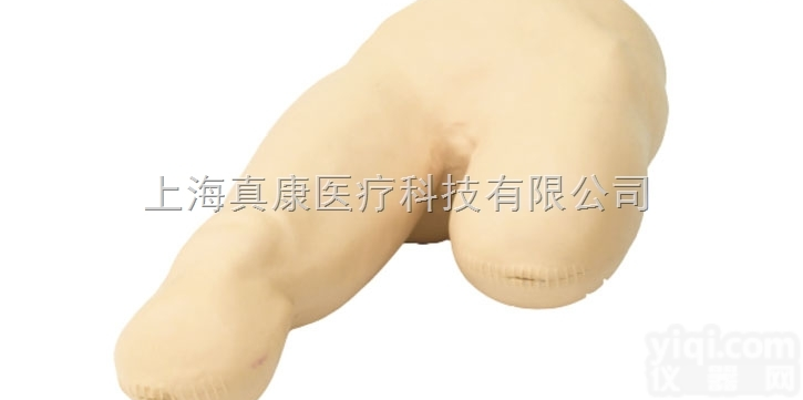 KAH/LV12  高级<em>低位</em><em>包扎</em>模型KAH/LV12