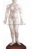 KAH-ZJ48  人体针灸<em>模型</em>48cm<em>女性</em>