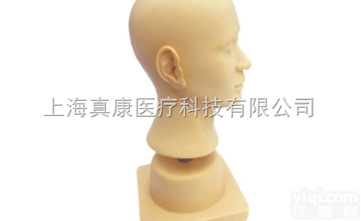 KAH/LV40  高级<em>耳部</em><em>冲洗</em><em>模型</em>