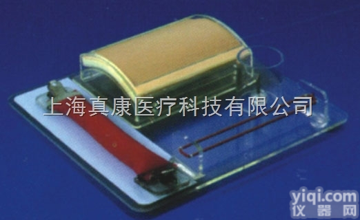 KAH/LV9  高级<em>外科</em>多<em>技能</em>训练模型KAH/LV9