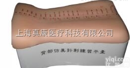 <em>背部</em><em>仿真</em><em>针刺</em>训练平台
