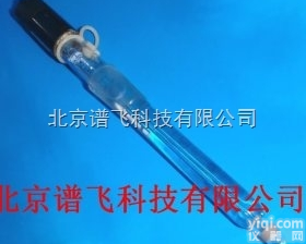 402-889.002  传感器<em>电极</em>