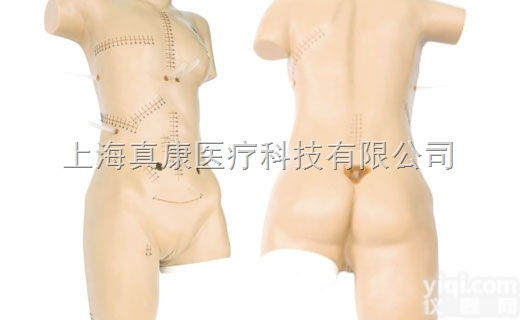 KAH-FH  <em>外科</em><em>缝合</em><em>包扎</em>展示模型KAH-FH