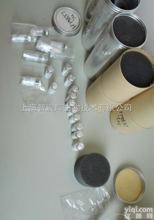 <em>ATCC</em> <em>11437</em>  <em>ATCC</em> <em>11437</em> 生孢梭菌