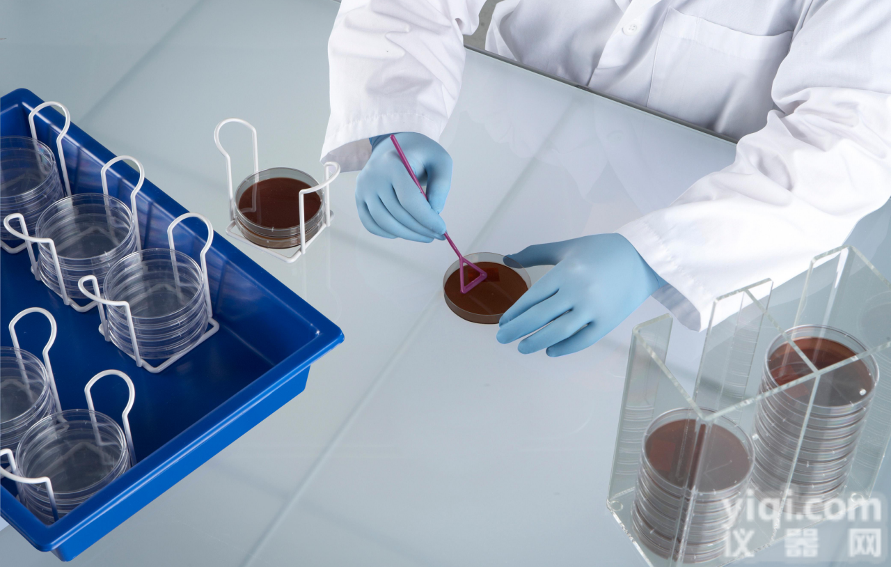 HS23455  <em>美国</em>HS<em>培养皿</em>支架，平皿架，手提式细菌<em>培养皿</em>架