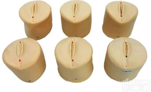 KAH-20  产前<em>宫颈</em>变化与产道关系模型 <em>妇婴</em>