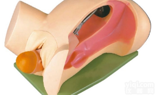 KAH-6  <em>分娩</em>机转示教<em>模型</em>  <em>妇婴</em>