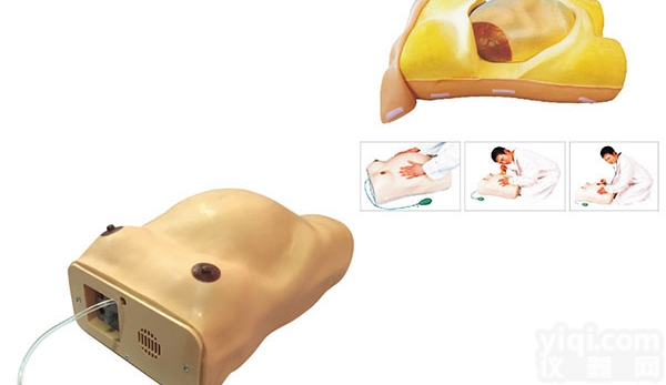 KAH-W2  高级电脑<em>孕妇</em>检查<em>模型</em> <em>妇婴</em>