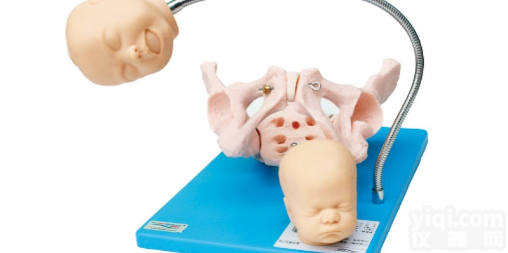 KAH/F23  高级<em>分娩</em>机制示教<em>模型</em> <em>妇婴</em>