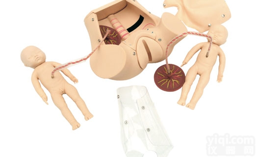 KAH/  高级<em>分娩</em>综合技能训练<em>模型</em> <em>妇婴</em>