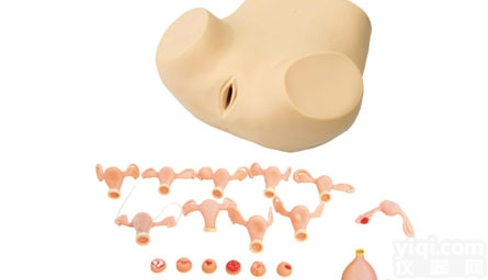 KAH-FK  高级<em>妇科检查</em><em>模型</em> <em>妇婴</em>