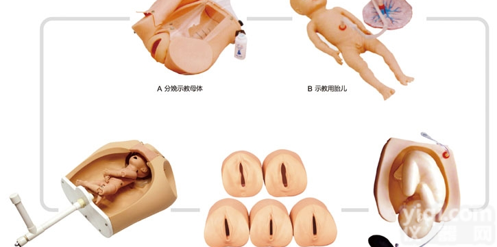 KAH/F54  高级腹部触诊、<em>分娩</em>机转综合<em>模型</em> <em>妇婴</em>