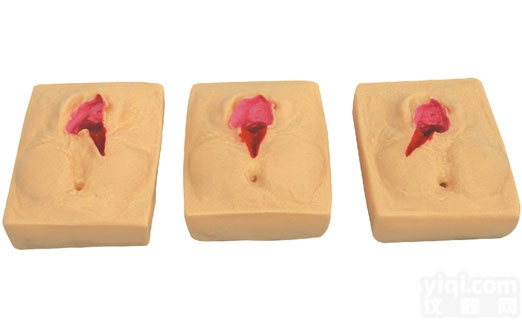 KAH-F3A  高级<em>会阴</em>切开<em>缝合</em>技能训练模型 <em>妇婴</em>