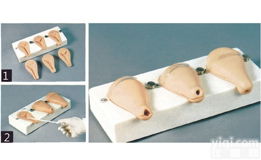 KAH/T33A  高级人工流产模拟<em>子宫</em> <em>妇婴</em>