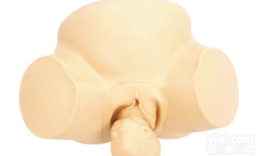 KAH-F8  高级<em>助产</em><em>训练</em>模型 <em>妇婴</em>